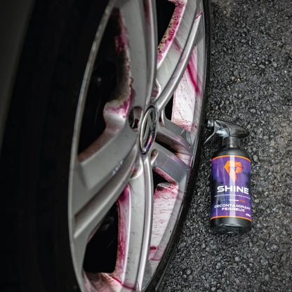 DECONTAMINANT FERREUX